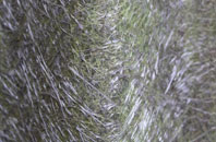 East Stanley fibreglass roof work